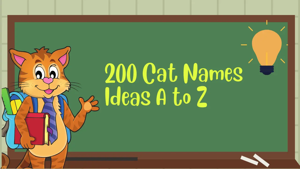 200-cat-names-ideas-a-to-z