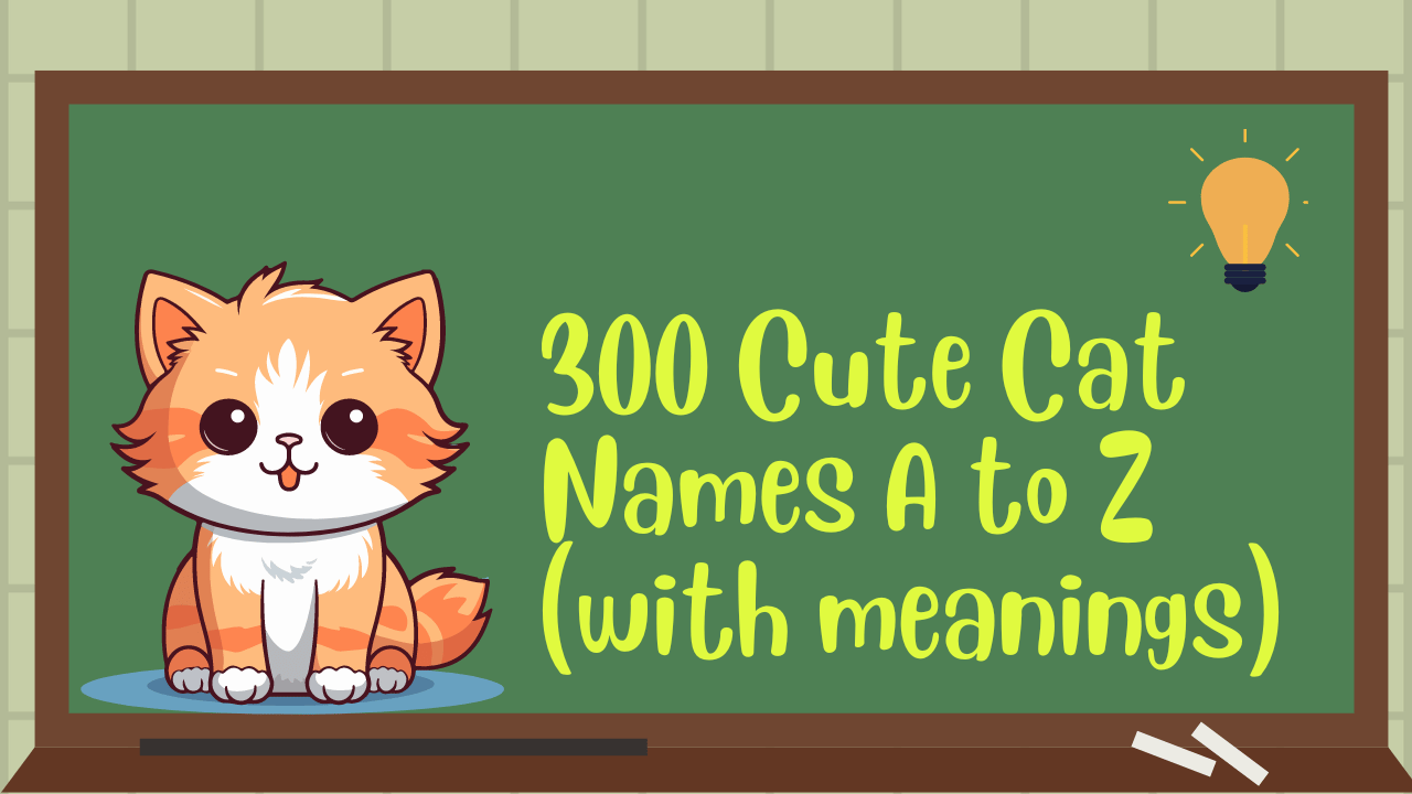 300-cute-cat-names-a-to-z-with-meanings