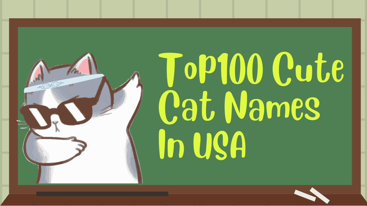 top100-cute-cat-names-in-usa